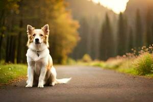 un perro sentado en el la carretera en el medio de un bosque. generado por ai foto