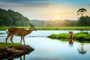 a deer and a lion standing in the water at sunset. AI-Generated photo