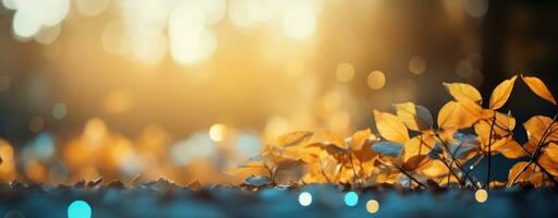 autumn leaves background on forest with blue sky and sun photo