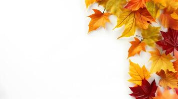 Autumn leaves isolated copy space on white background AI Generated photo