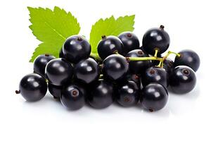 Blackcurrant isolated on white background AI Generated photo