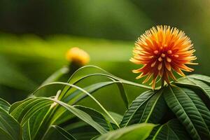 a flower with orange petals and green leaves. AI-Generated photo