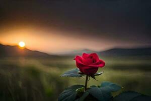 a single red rose is in the foreground of a sunset. AI-Generated photo