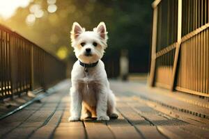 un pequeño blanco perro sentado en un de madera puente. generado por ai foto