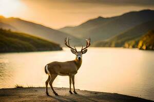 a deer stands in front of a lake at sunset. AI-Generated photo