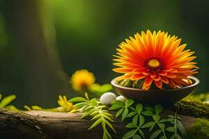 orange flower in a bowl on a tree branch. AI-Generated photo