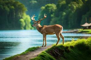 a deer stands on the edge of a lake. AI-Generated photo