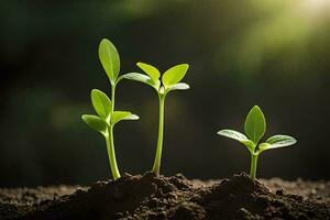 Tres joven plantas creciente en suelo. generado por ai foto