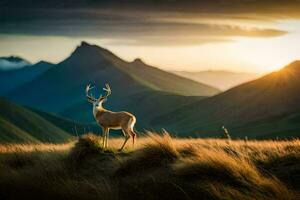 a deer stands on a hill in the mountains at sunset. AI-Generated photo