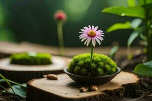 a small flower in a small pot on a wooden stump. AI-Generated photo