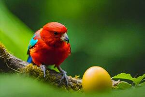 a colorful bird sits on a branch next to an egg. AI-Generated photo