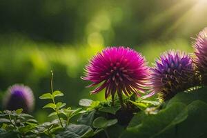 purple flowers in the sun with green leaves. AI-Generated photo