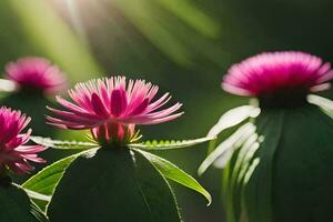 pink flowers in the sun. AI-Generated photo