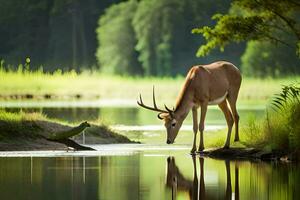 a deer and a frog are standing in the water. AI-Generated photo