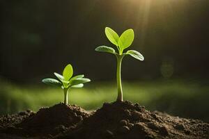 dos joven plantas creciente en el suciedad. generado por ai foto