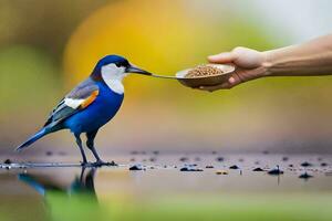 un persona alimentación un pájaro con alimento. generado por ai foto