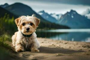 a small dog sitting on the sand near a lake. AI-Generated photo