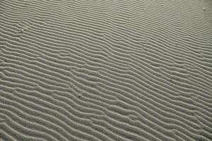 Sand texture background photo