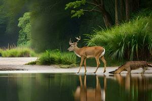 two deer are standing in the water near a river. AI-Generated photo