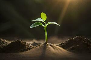 a young plant sprouting from the ground in the dark. AI-Generated photo