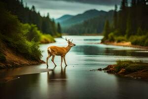 a deer stands in the middle of a river. AI-Generated photo