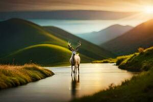 a deer stands in a stream at sunset. AI-Generated photo