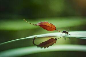 a leaf on the water with a small ant. AI-Generated photo