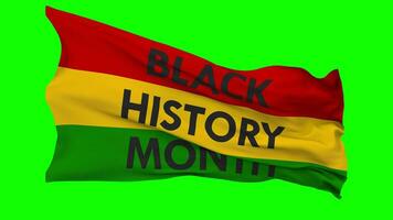 Black History Month Flag Waving Seamless Loop in Wind, Chroma Key Green Screen, Luma Matte Selection video