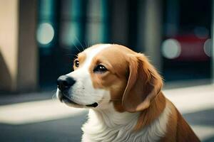 un perro sentado en el acera mirando arriba. generado por ai foto