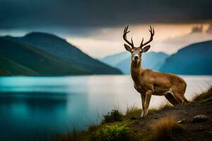 un ciervo soportes en el borde de un lago. generado por ai foto