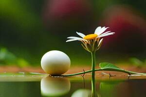 a white egg and a daisy are sitting on the water. AI-Generated photo