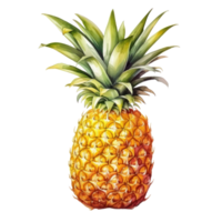 acuarela piña aislado png