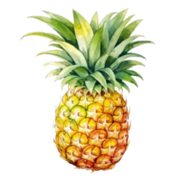 waterverf ananas geïsoleerd png