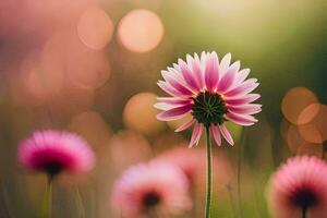 pink flowers in the field with a blurry background. AI-Generated photo