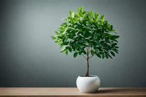 a small potted tree in a white pot on a table. AI-Generated photo