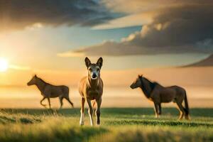 Tres caballos son en pie en el césped a puesta de sol. generado por ai foto