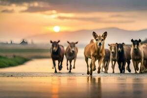 a herd of horses running across a wet road. AI-Generated photo