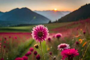 pink flowers in a field at sunset. AI-Generated photo