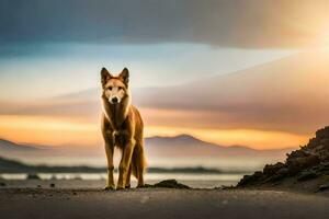 a dog standing on the beach at sunset. AI-Generated photo