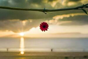 un rojo flor colgando desde un cable en el playa. generado por ai foto