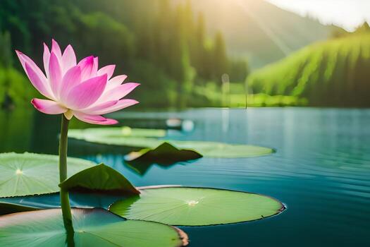 rosado loto flor en el agua. generado por ai foto
