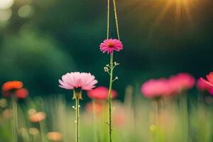 pink flowers in a field with the sun shining. AI-Generated photo