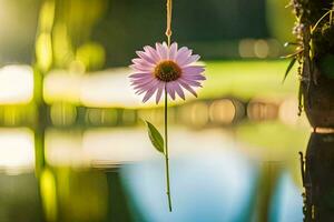 a flower hanging from a rope in the water. AI-Generated photo