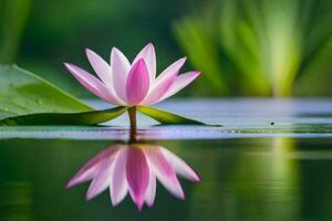 a pink lotus flower is reflected in the water. AI-Generated photo