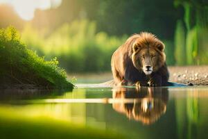 un león caminando a través de un río en el Mañana. generado por ai foto