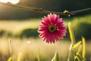 a pink flower is hanging from a branch in a field. AI-Generated photo