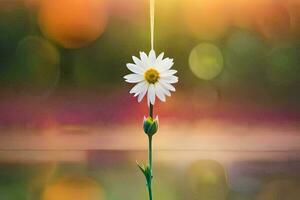 a single daisy flower is hanging from a string. AI-Generated photo