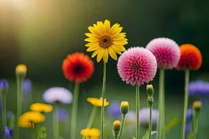 colorful flowers in a field with sun shining. AI-Generated photo