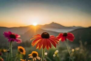 sunset over coneflowers in the mountains. AI-Generated photo