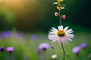 a single flower is standing in a field with sun shining. AI-Generated photo